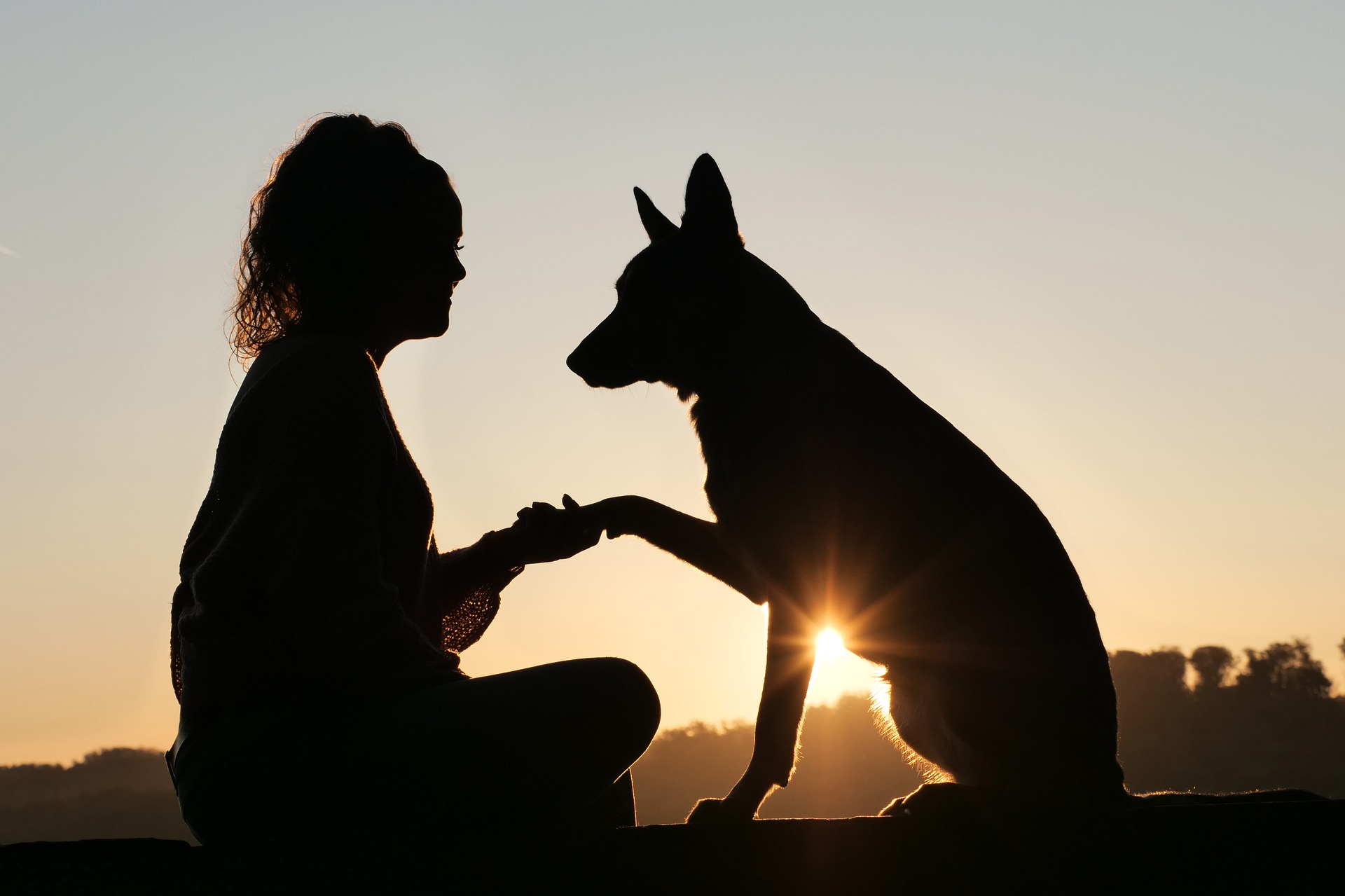 Sowohl Hunde als auch Menschen sind soziale Wesen, bilden soziale Beziehungen, Bindungen, enge Beziehungen.
