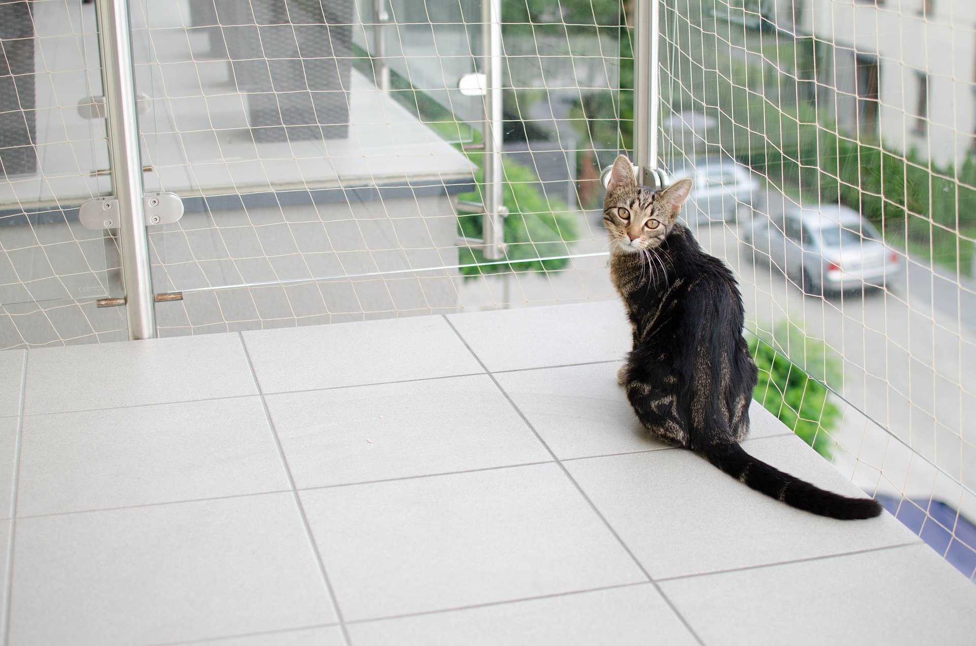 Ein Katzenbalkonnetz ist eine sehr gute Idee, um Ihre Katze vor dem Herausfallen zu schützen. Das Produkt ist in verschiedenen Farben (am häufigsten weiß, oliv, transparent, schwarz), Größen und Maschenweiten erhältlich.