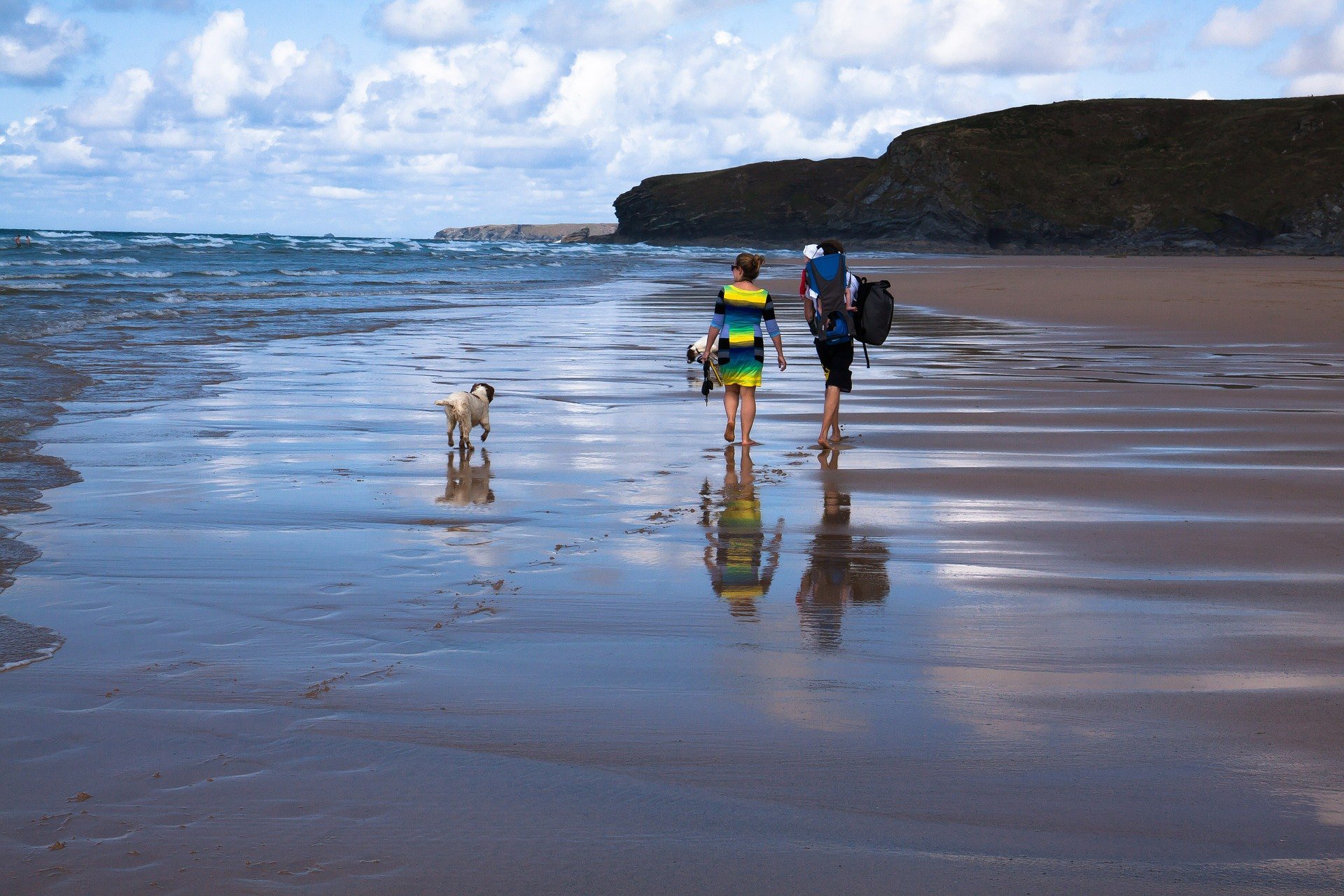 Ein Ausflug mit einem Hund ans Meer erfordert aufgrund der Sicherheit des Haustieres und des Komforts anderer Urlauber eine sorgfältige Vorbereitung.