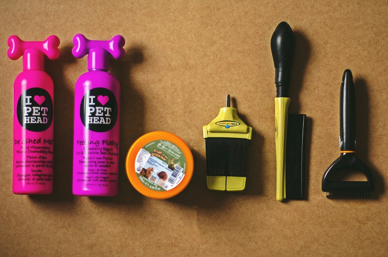 Kosmetik für die Pflege eines Border-Collie-Hundes. Shampoo, Conditioner, Maske, Kamm, Box und Hakentrimmer.