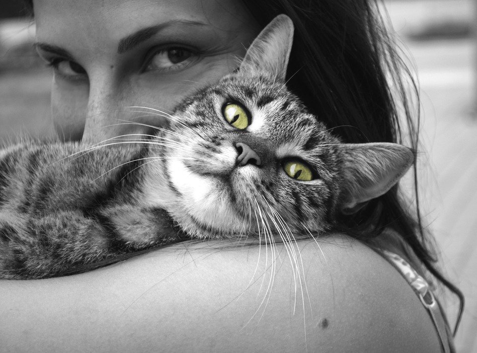 Schwarzweiss-Foto der Katze in den Händen der Dame. Die Dame küsst die Katze. Nur die Katzenaugen sind grün gefärbt.