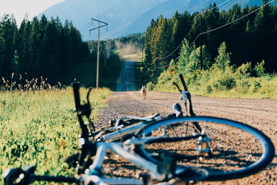 Auf dem Feldweg zwischen den Hügeln rennt ein Hund auf das Fahrrad zu.