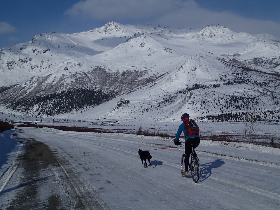 Der Hund läuft an dem Fahrrad, auf dem der Mann fährt. Die Reise ist zwischen den schneebedeckten Bergen. Radtouren mit dem Hund können auch im Winter stattfinden, wenn der Hund gut darauf vorbereitet ist.