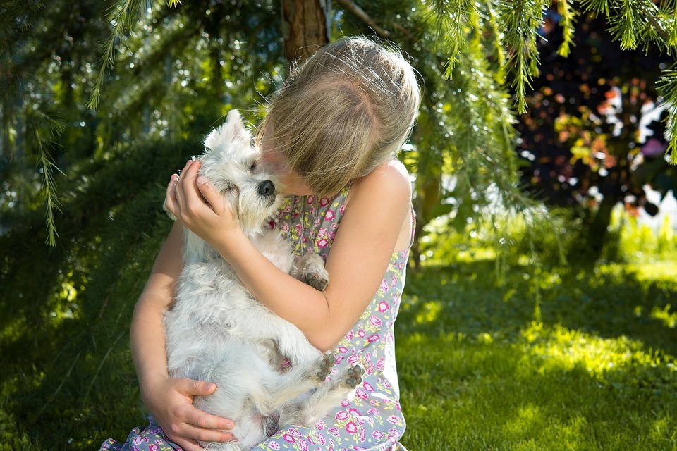 Das Mädchen umarmt einen jungen Hund. Sie sitzen auf einer Lichtung im Wald.