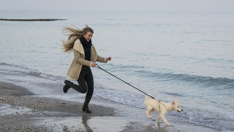 Laufen mit einem Hund macht großen Spaß - auch im Winter.