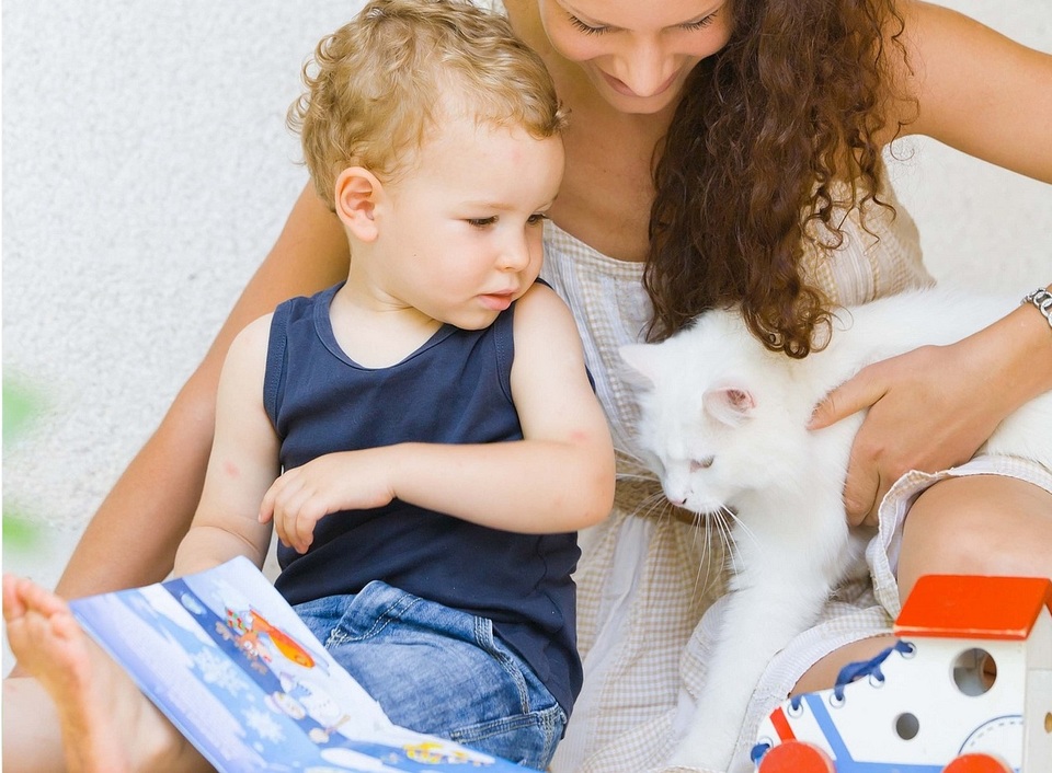 Die Mutter hält einen zweijährigen Jungen in der Hand und ein weißes kleines Kätzchen kommt auf sie zu.