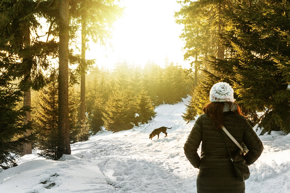 Winterwanderungen mit Ihrem Hund können angenehm sein, wenn Sie sich richtig darauf vorbereiten.