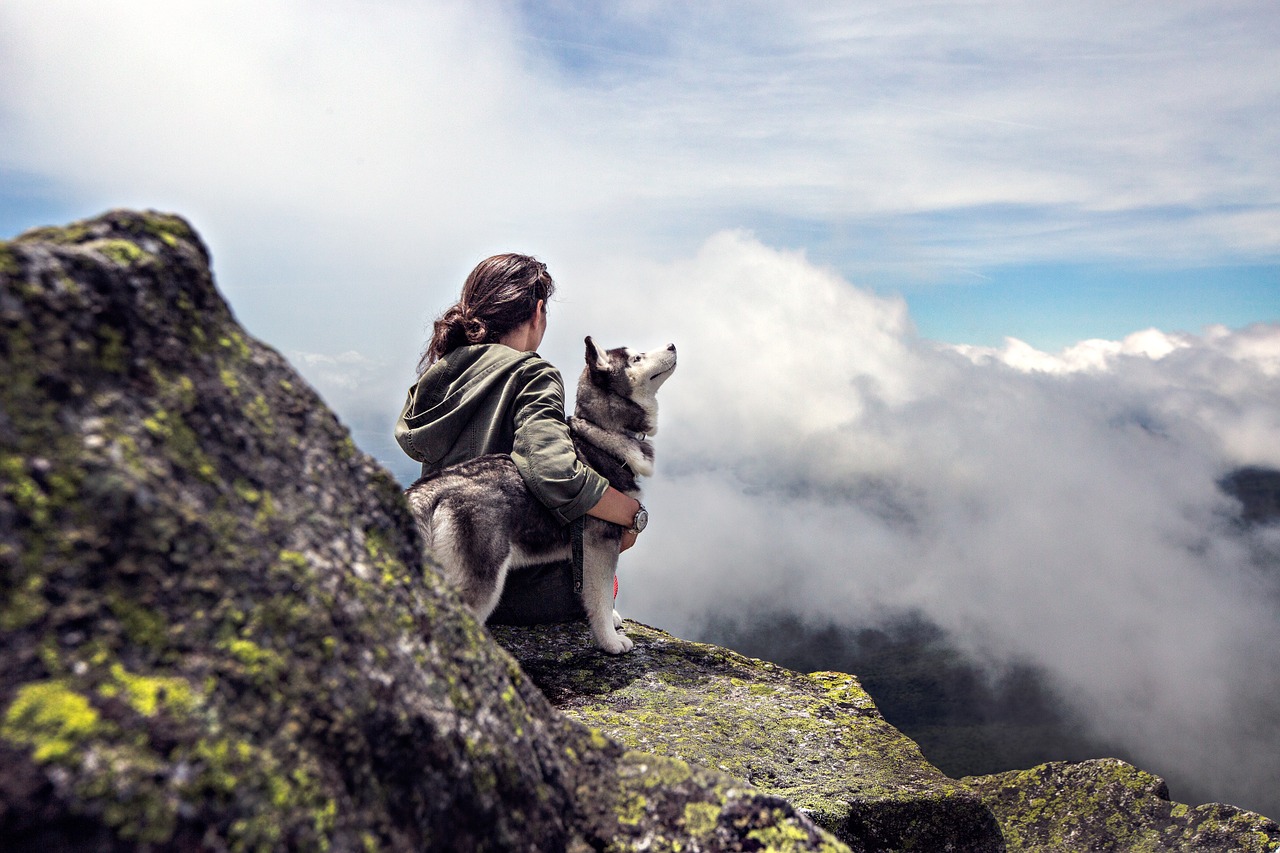 Der Husky sitzt mit dem Wächter oben auf dem Berg. Für Hunde dieser Rasse ist viel Bewegung und Anstrengung unerlässlich.