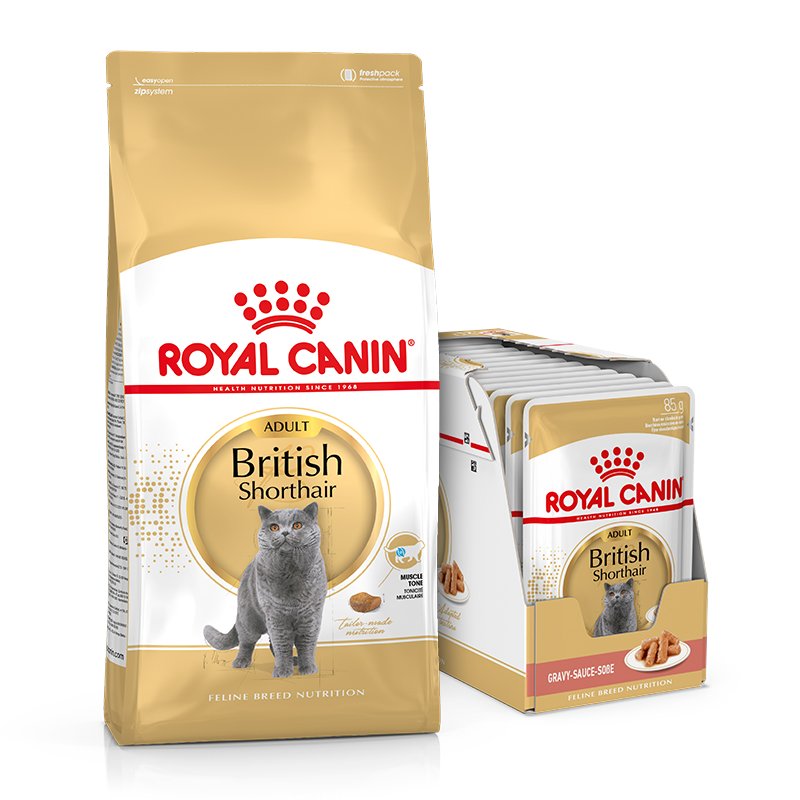 Britisch Kurzhaar Futter