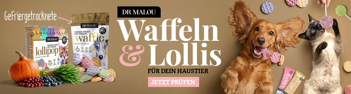 2026-06-02 Dr Malou gefriergetrocknete Waffeln und Lutscher