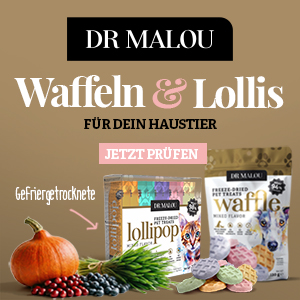 2026-06-02 Dr Malou gefriergetrocknete Waffeln und Lutscher