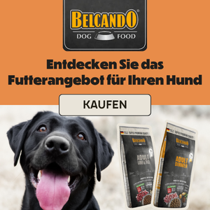 Belcando Markenshop