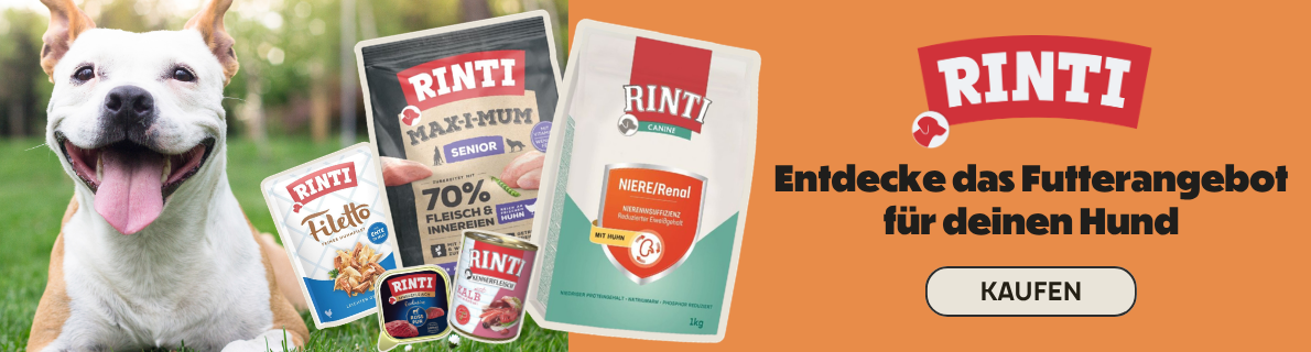2026-06-18 Rinti
