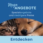 TOP-Angebote