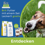 Aktion BRIT für ausgewählte Produkte, WOOLF Leckerli gratis