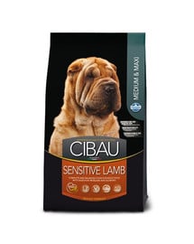 CIBAU Sensitive Lamb Medium & Maxi 12 kg + 2 kg FREE