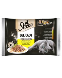 SHEBA Delicacy in Jelly Collection of Flavours 4 x 0.085 kg