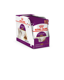 ROYAL CANIN Sensory smell 12x85 g