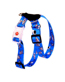FERA Sharky LED Hundegeschirr aus Leder 36-60 cm x 2cm