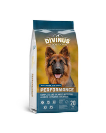DIVINUS Performance für Deutsche Schäferhunde und aktive Hunde 20 kg