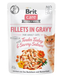 BRIT Care Fillets in Jelly Beutel in Soße für Katzen 24 x 85 g