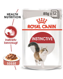 ROYAL CANIN INSTINCTIVE Katzenfutter nass in Soße 2x124x85g