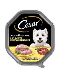 CESAR Schale 14x150 g Nass-Alleinfutter für ausgewachsene Hunde Seeschwalbe mit zartem Huhn und Truthahn
