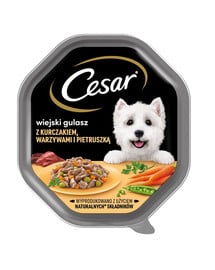 CESAR 150 g Vollwertiges Nassfutter für ausgewachsene Hunde in Hühner-, Gemüse- und Petersiliensauce