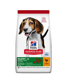 HILL'S Science Plan Canine Puppy Medium Chicken 18 kg für Hunde mittlerer Rassen mit Huhn + 3 Dosen GRATIS