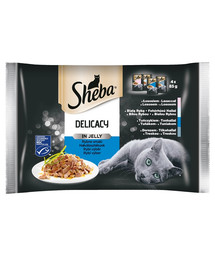 SHEBA Delicacy in Jelly Fischgeschmack in Gelee Katzenfutter für Erwachsene 52x85g