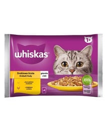 WHISKAS Poultry Feast Pute und Huhn in Gelee 4x85g