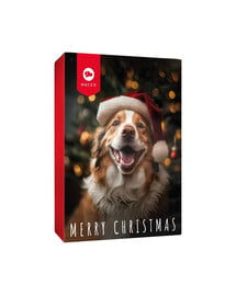 MACED Adventskalender für Hunde