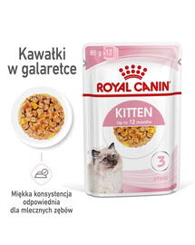 ROYAL CANIN Cat instinctive kitten 48 x 85 g