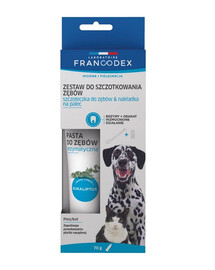 FRANCODEX Set aus Zahnbürste und Zahnpasta