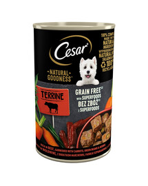 CESAR Natural Goodness in Terrine 400g reich an Rindfleisch mit Karotten, grünen Bohnen und Kräutern