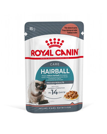 ROYAL CANIN Hairball Care 24x 85g