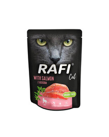 DOLINA NOTECI Rafi Cat Katzennassfutter mit Lachs 300 g