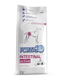 FORZA 10 Intestinal Active Trockenfutter für Hunden mit Magenschleimhautentzündung 10 kg