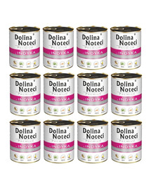 DOLINA NOTECI Premium Truthahn 12 x 800g