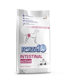 FORZA 10 Intestinal Active Trockenfutter für Hunden mit Magenschleimhautentzündung 4 kg