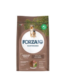 FORZA10 Medium Adult Maintenance Lamb Rice for medium breed dogs 12 kg