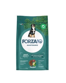 FORZA10 Maxi Adult Maintenance Venison Potato 12 kg