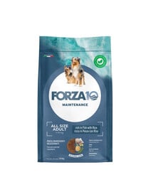 FORZA10 All Breeds Maintenance Fish Rice 12 kg