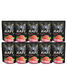 DOLINA NOTECI Rafi Cat Katzennassfutter mit Lachs 10x300 g