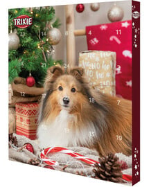 TRIXIE Adventskalender für Hunde