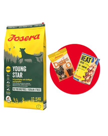 JOSERA YoungStar 12,5kg für Welpen und Junghunde + 1x Denties & Meat Lovers GRATIS