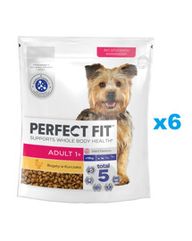 PERFECT FIT Adult 1+ sucha karma pełnoporcjowa dla dorosłych psów małych ras bogata w kurczaka 6x825g