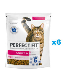 PERFECT FIT Adult 1+ 6x750 g sucha karma pełnoporcjowa dla dorosłych kotów bogata w świeżego łososia