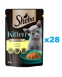 SHEBA Kitten saszetka 28x85 g mokra karma pełnoporcjowa dla kociąt kawałki z kurczakiem w sosie