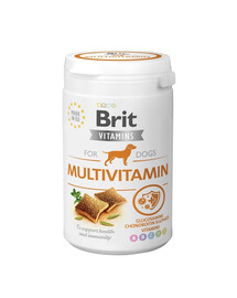 Vitamins Dog Multivitamin 150 g suplement dla psa wspierający dobre samopoczucie